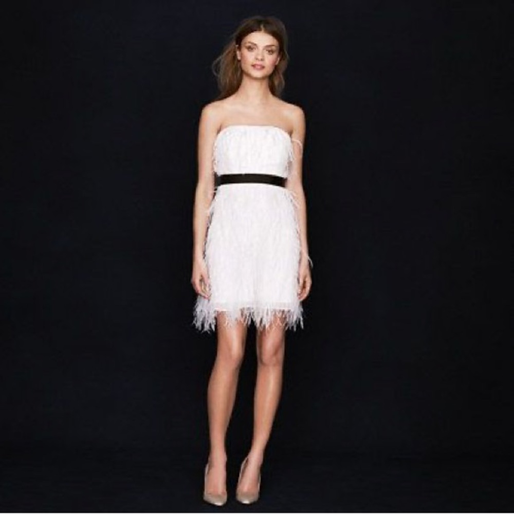 J.Crew Collection - Ostrich Feather Dress - XS
